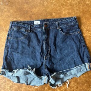 Anthro Pilcro denim shorts Sz 34